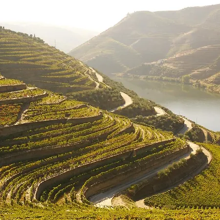 Douro Valley Inn