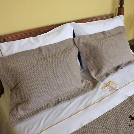 여관 Douro Valley 3*