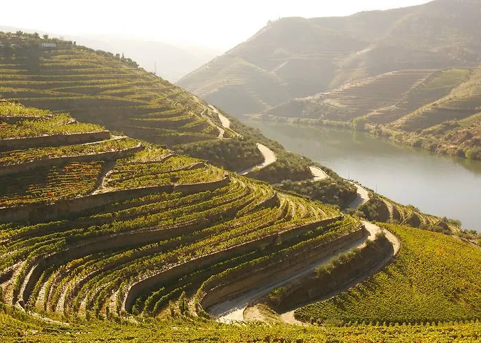 Douro Valley Πανδοχείο